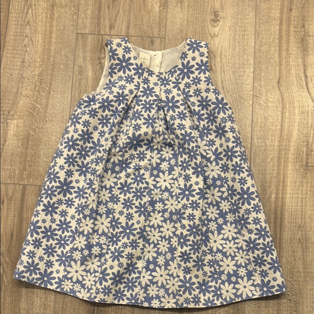 Blue and White Sleeveless A-Line Dress